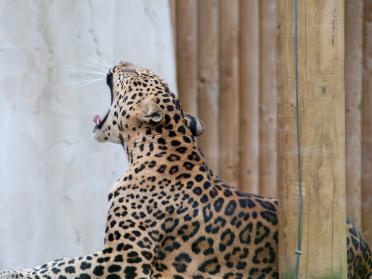 WM_Safari_Park