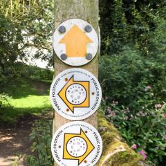 Ilkley, Ilkley Moor Walk, Walk