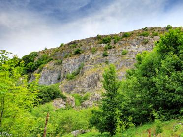 SettleLimeKiln