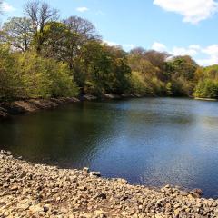 Beck, Chellow Dean, Walk