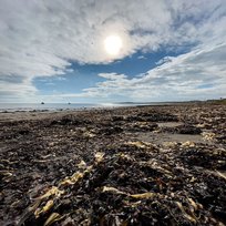 Boulmer, Northumberland