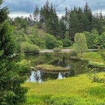 IMG_1437_sRGB