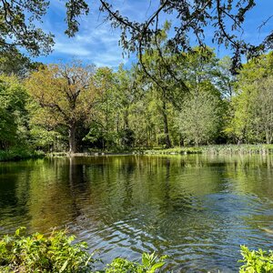 Elsham Hall and Brigg